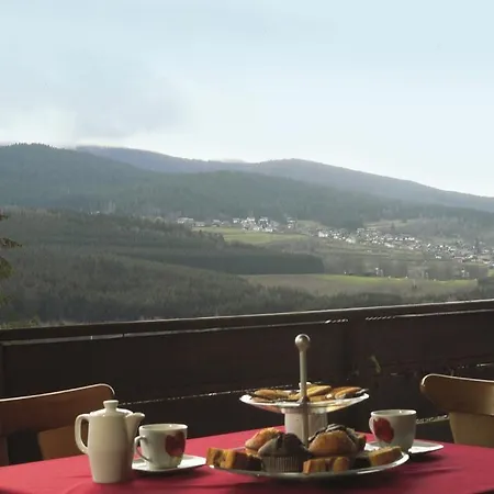 Haus Am Berg Hotel Lam